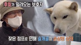 ‘슬개골 탈골’ 매일 점프하는 모카 건강 상태