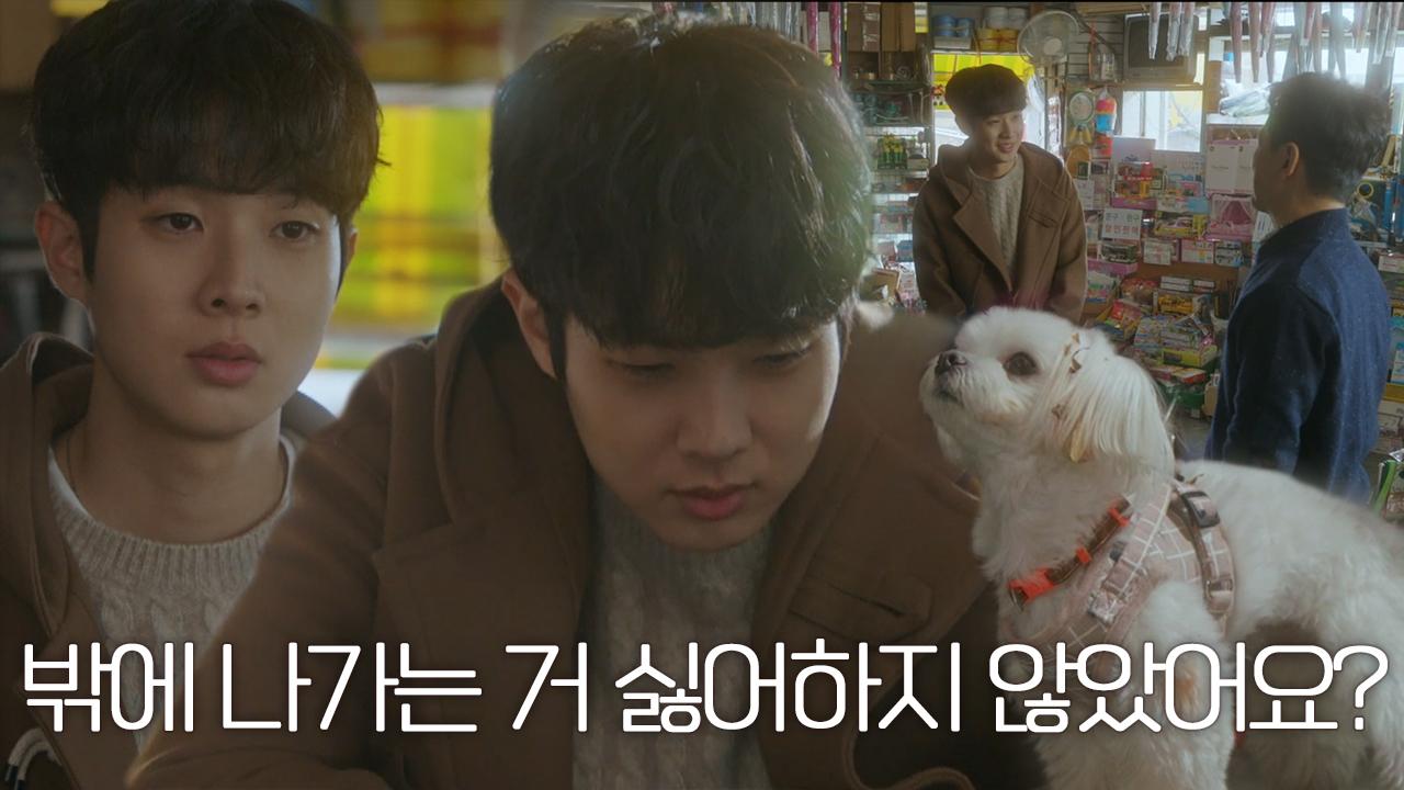 “배신자” 최우식, 스스로 아픔 극복한 강아지 ‘쫑쫑이’에 배신감! | ZUM TV