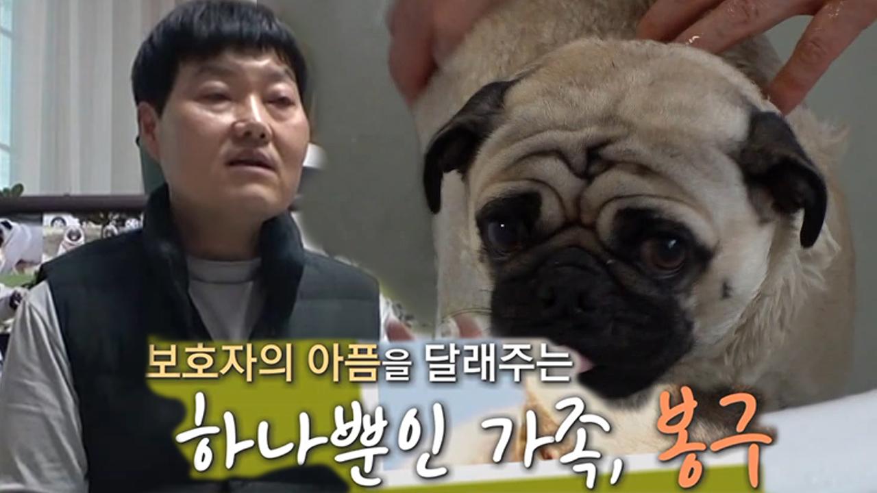 파양된 상처가 있었던 봉구와의 운명같은 만남 스토리♥ | ZUM TV