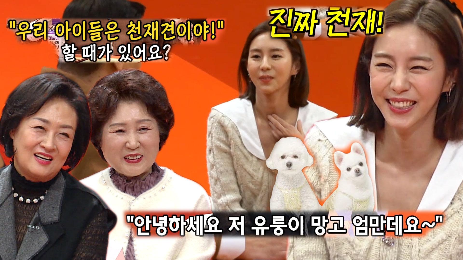 “진짜 천재!” 유이, 반려견 ‘유룽이×망고’ 극성 엄마♡ | ZUM TV