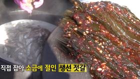 영덕 깻잎 김치 달인, 젓갈도 직접 담그며 정성 가득한 과정