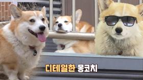 말 훈련부터 회원관리까지! 승마장 마스코트 ‘몽이’