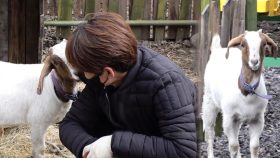 염소 인절미와 아저씨, 세상 둘도 없는 영혼의 단짝!