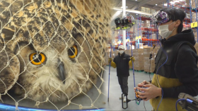 레이싱드론 이용한 ‘수리 부엉이’ 공중 구조 작전!