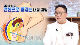 내 뱃살은 염증 공장? 악질 중의 악질 ‘내장지방’ (좋은아침N보건소)