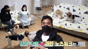 집착은 그만하개! ‘그리×그루’ 맞춤 솔루션