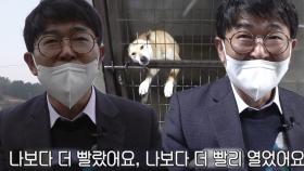 문 따는 강아지 태일이를 바라본 전문가의 의견!