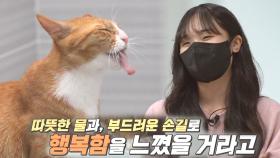 ‘물아일냥 고양이’ 다온이가 물을 사랑하게 된 이유!
