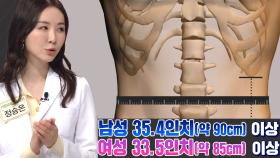 대사증후군 위험을 높이는 복부 비만!(황금 복주머니)