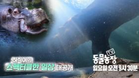 [5월 1일 예고] 하식이의 스펙타클한 일상 대공개!