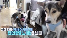 집이 무서운 글렌이, 집과 친해지기 솔루션!