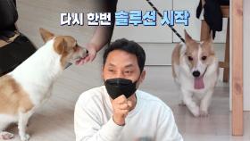 ‘루이’의 난폭한 이중생활 청산할 솔루션 시작!