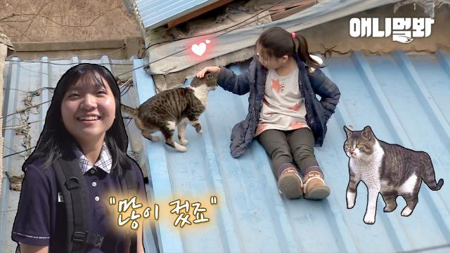 동물농장 레전드 해나와 양이.. 5년 후 현재 근황ㅣStory Of 3-legged Cat And A 11 Years Old Girl, 5 Years Later