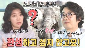 홍혜걸♥여에스더, 코끼리 환생 여부로 투닥거리며 사랑싸움!