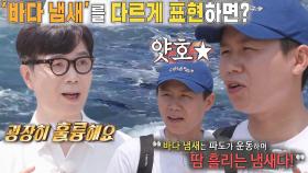 “굉장히 훌륭해요” 김영하, 양세형의 ‘바다 냄새’ 표현법에 칭찬!
