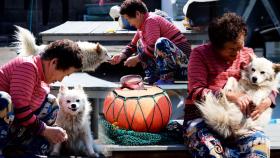 해녀 큰 삼촌 할머니와 노견 숫달이의 블루스!