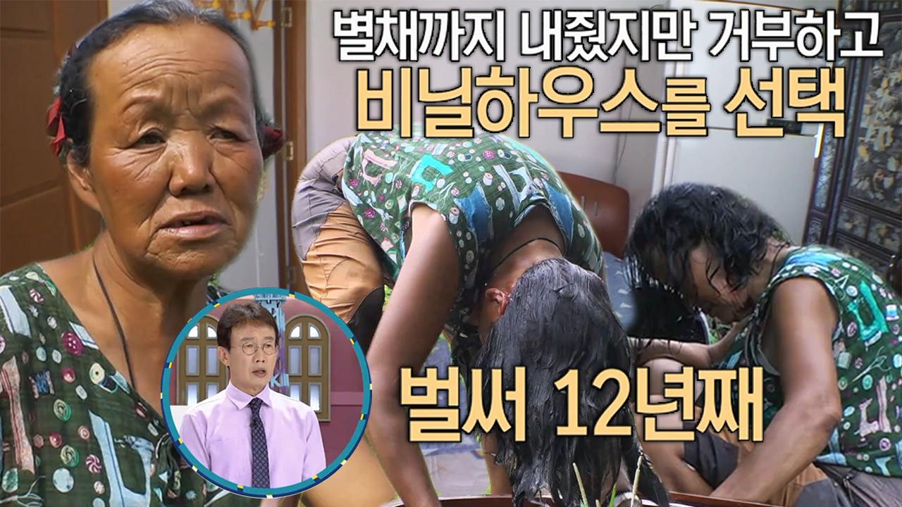 12년간 비닐하우스만을 고집하는 여인의 하루 | ZUM TV