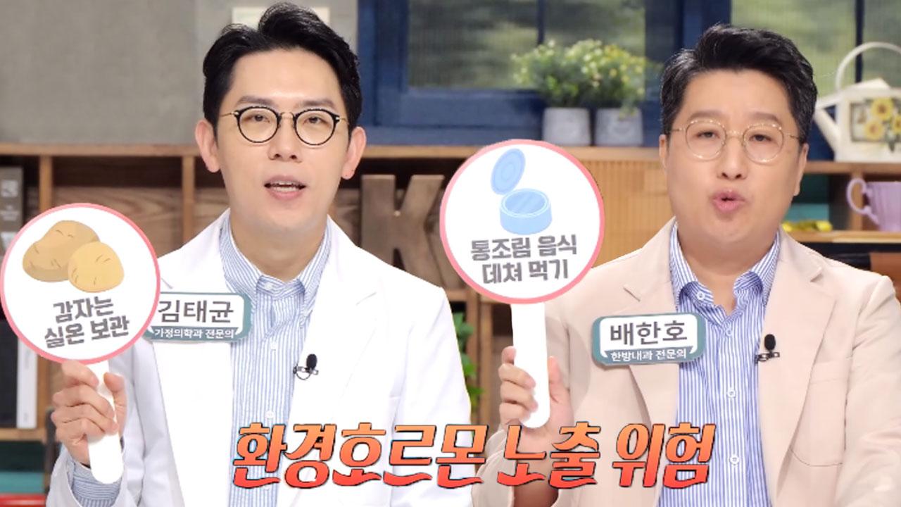 식품 속 환경호르몬 줄이는 방법 (닥터필생기) | ZUM TV