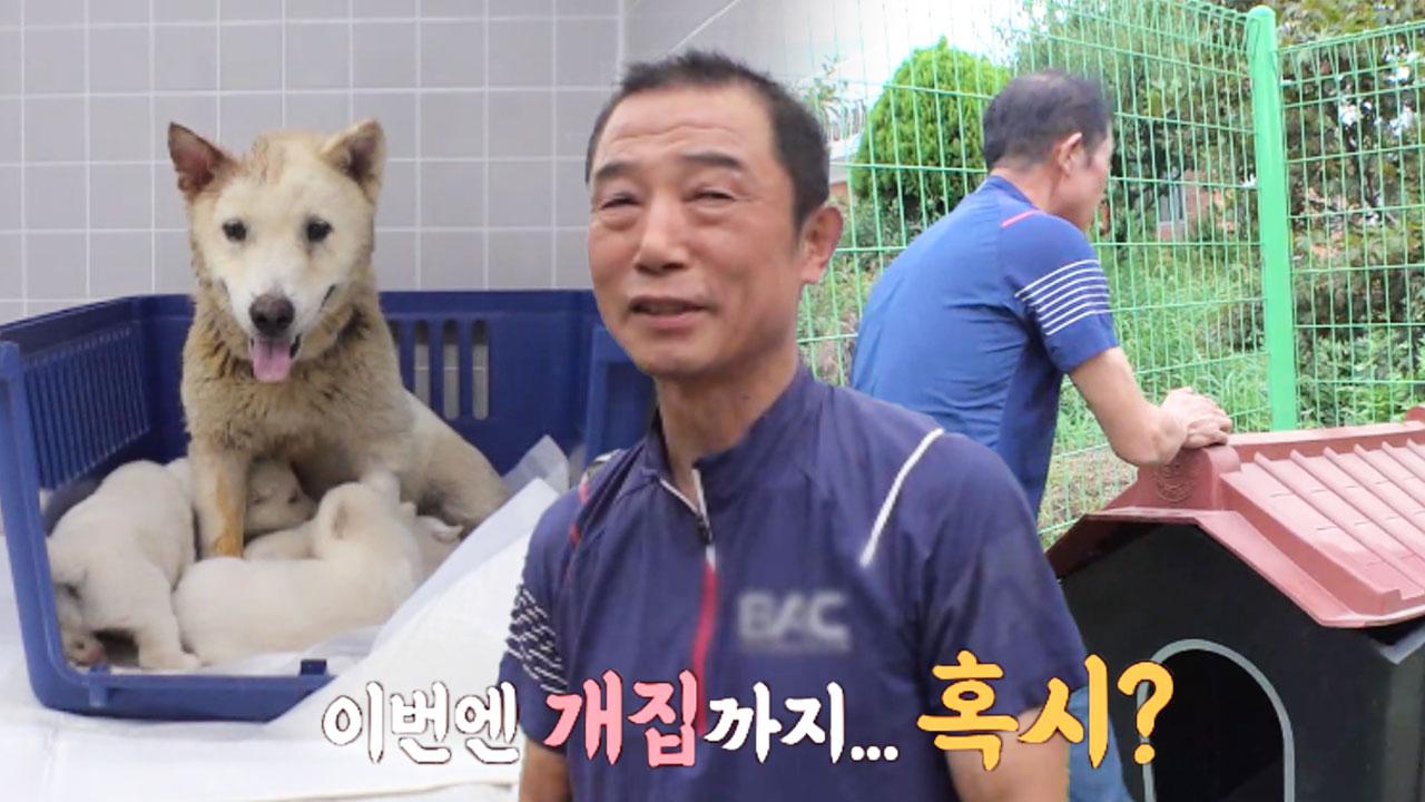 캡사이신 베이비 나와!!!! 역대급 아기 사자 베이비 등장...🦁ㄷㄷ┃A Baby Boy Craving for BLOOD | ZUM TV