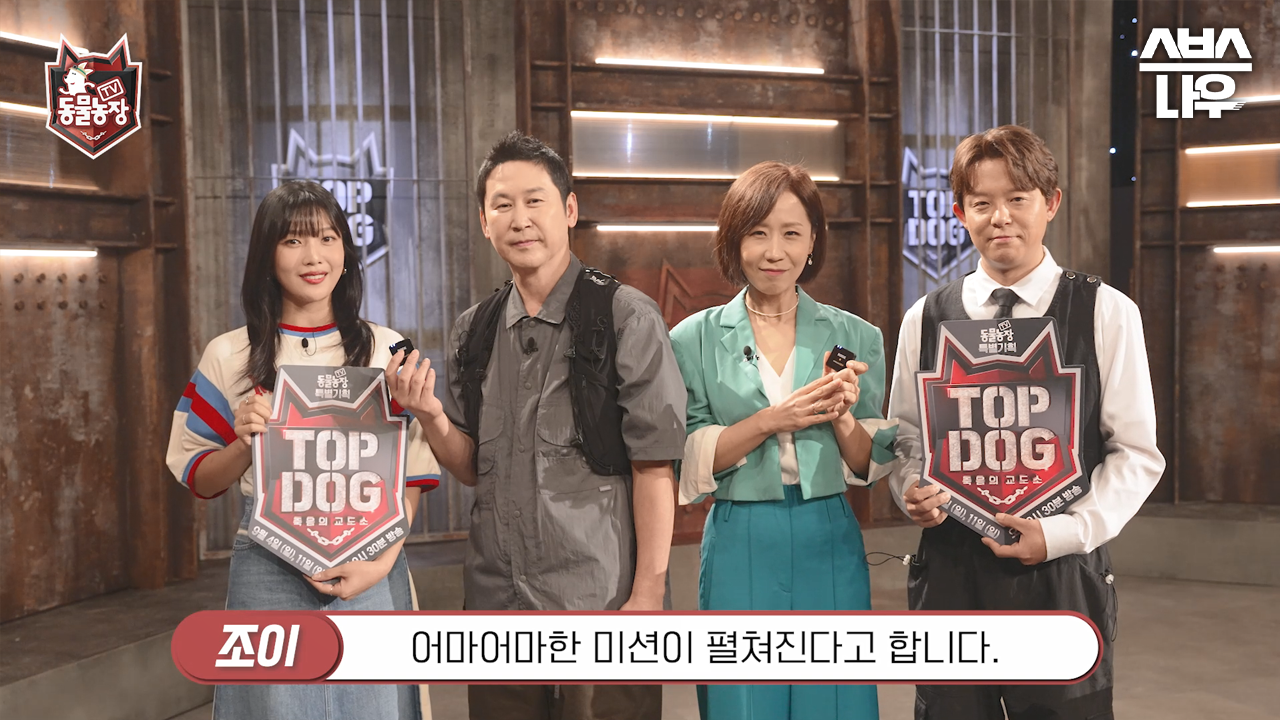동물농장 MC들이 보내온 탑독 축하 영상! #TV동물농장 #AnimalFarm #topdog | SBSNOW | ZUM TV... 동물농장 MC들이 보내온 탑독 축하 영상!... 