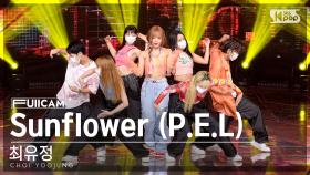 [안방1열 풀캠4K] 최유정 'Sunflower (P.E.L)' (CHOI YOOJUNG FullCam)│@SBS Inkigayo 220925