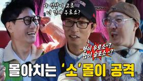 지석진, 유재석×하하의 몰아치는 ‘소’몰이 공격에 대폭소!