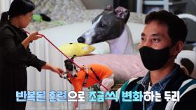 꾀병도 병, 모두를 위한 단호한 솔루션!