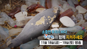 [2차 예고] 소중한 우리의 바다