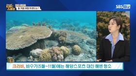 [Pick Up! 트렌드 스페셜] 올 겨울 여행 트렌드는?