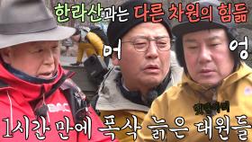 김준호×이상민, 첫 지리산 등반에 폭삭 늙은 햇병아리 대원들!