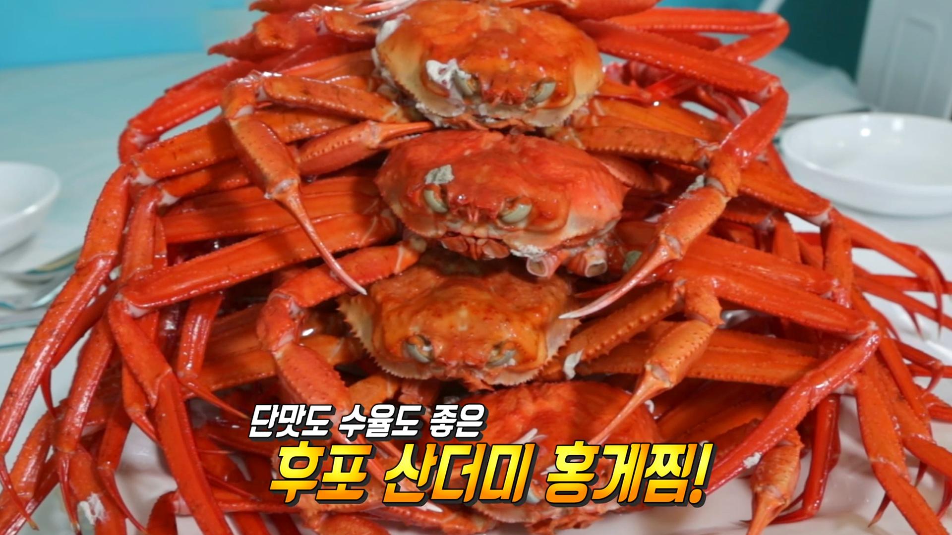 차원이 다른 무한리필! ‘후포 산더미 홍게찜’ | ZUM TV