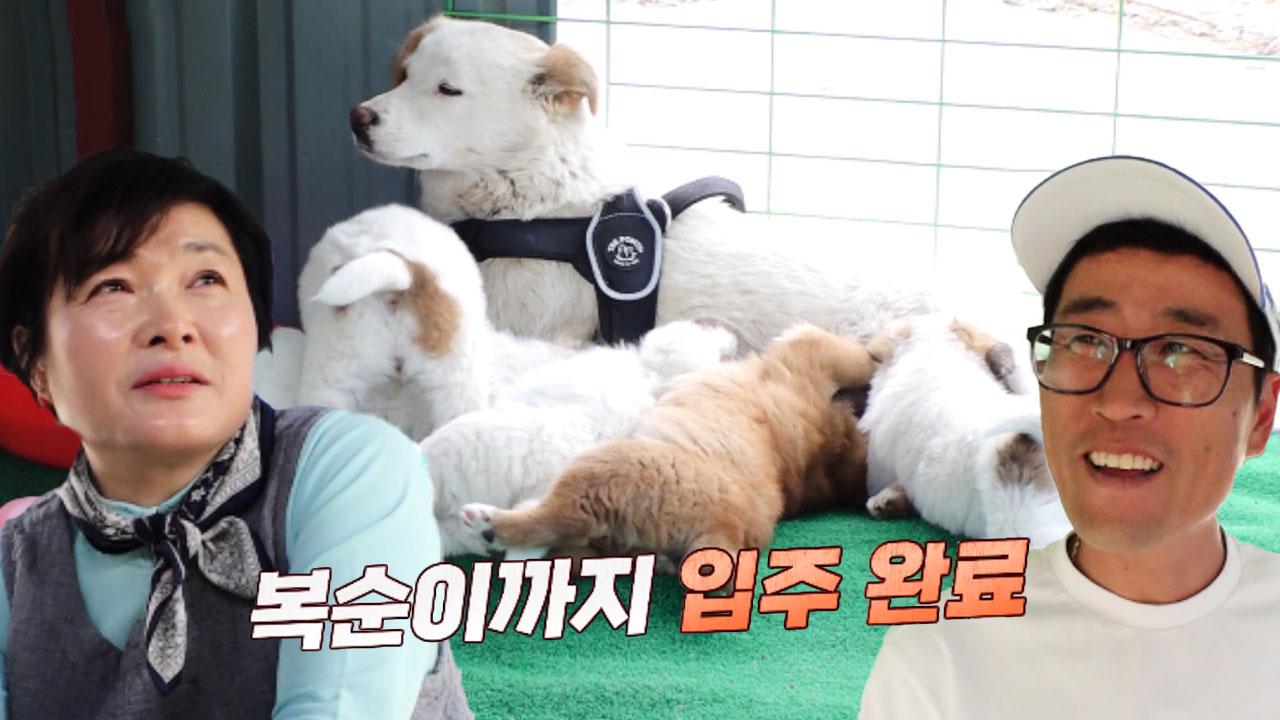 복순이네 구조 성공! 따뜻한 복순이네 새 보금자리 | ZUM TV