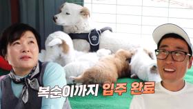 복순이네 구조 성공! 따뜻한 복순이네 새 보금자리