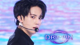 DRIPPIN - SEVEN SINS | SBS 230423 방송