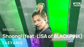 TAEYANG(태양) - Shoong!(슝!)(feat. LISA of BLACKPINK) @인기가요 inkigayo 20230430