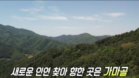 마음은 계속 머물던 곳, 가마골!