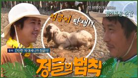 [#정글의법칙] 아프리카에서 만난 새 생명, 단순하게 이름은 