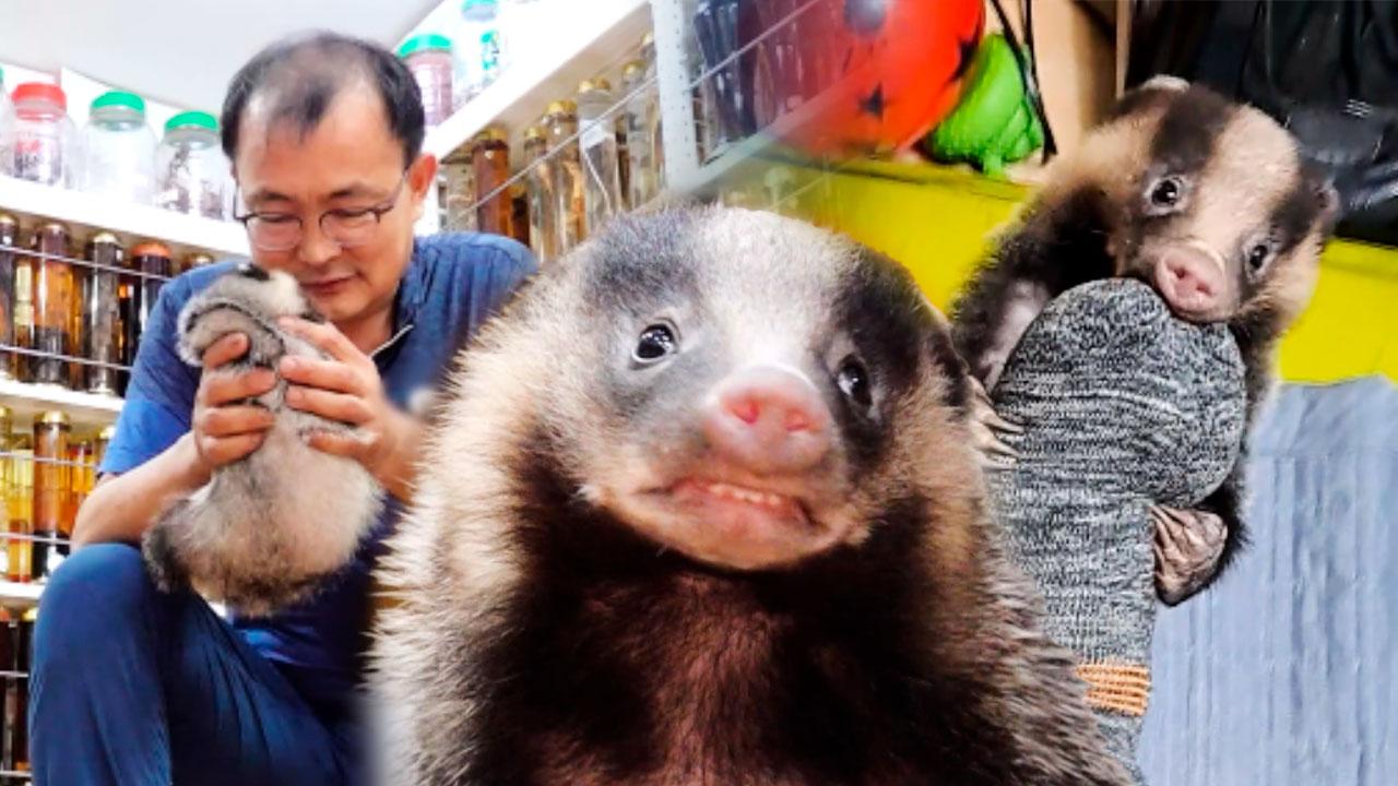 의문의 등산 짝꿍, ‘오순이’가 아저씨와 함께 살게 된 이유? | ZUM TV