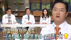 ‘탈모×고혈압×치매’ 닳은 연골로 인해 생기는 질병 폭풍! (닥터필생기)