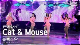 [안방1열 풀캠4K] 블랙스완 'Cat & Mouse' (BLACKSWAN FullCam)│@SBS Inkigayo 230917