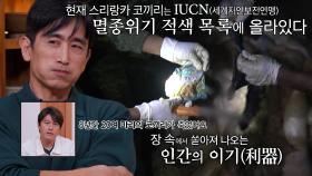 차인표, 죽은 코끼리의 장에서 나온 플라스틱 쓰레기에 충격! (ft. 멸종 위기)