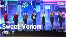 [안방1열 풀캠4K] 엔하이픈 'Sweet Venom' (ENHYPEN FullCam)│@SBS Inkigayo 231119