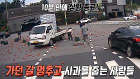 도로 한복판에 사과가 떨어지는 사고를 망설임 없이 돕는 시민들