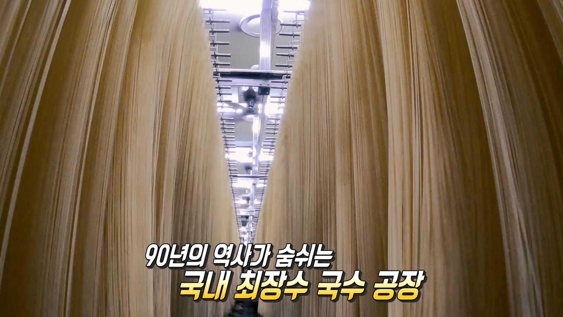 1일 국수 생산량 40톤! 국내 최장수 국수 공장 | ZUM TV