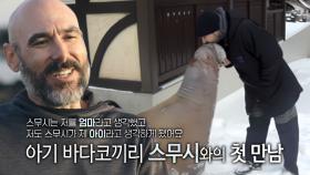 ‘전 해양 동물 조련사’ 필 데머스, ‘야생 아기 바다코끼리’ 스무시와의 첫 만남