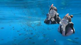 물고기도 반해버린 브브걸! 브브걸을 덮친 괌의 해양생물들 (feat. 상어) [더 트래블로그 괌 편 #3]