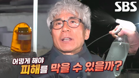 괴도 삵의 절도 행각 멈추게 할 컨설팅 대공개★