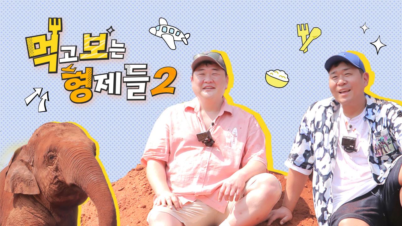 먹고 보는 형제들 2 | ZUM TV