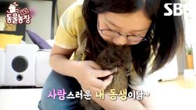 [예고] 사랑스러운 내 동생 꼬꼬닭🐔 너희들과 함께하는 매일이 행복해! | TV 동물농장 | SBS