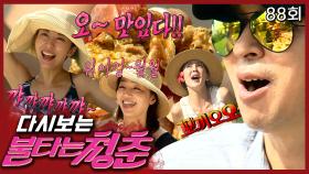 [#불타는청춘] 양념이 필요없는 감탄을 부르는 맛! 코코넛 크랩🥥🦞 먹방! 그리고 갑자기 펼쳐진 동물 개인기???! EP.88